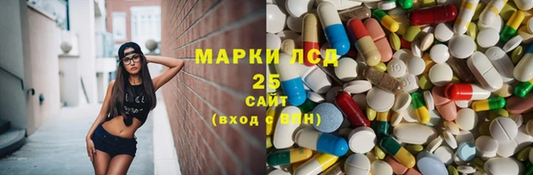 ПСИЛОЦИБИНОВЫЕ ГРИБЫ Абаза