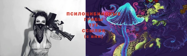 дурь Алексеевка