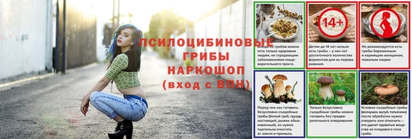 дурь Алексеевка