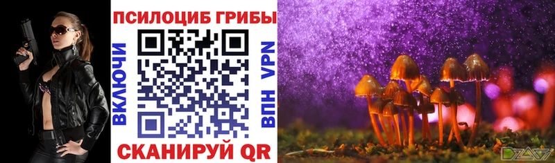 как найти закладки  Карасук  Псилоцибиновые грибы GOLDEN TEACHER 